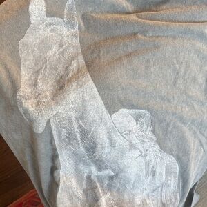 Beyonce No Skips Concert